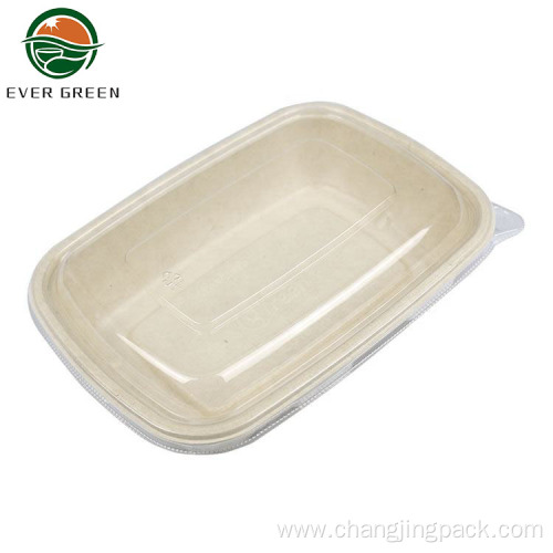 Hot Sale Disposable Sugarcane Bagasse Lunch Box Container